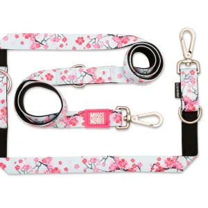 Correa Multifuncional Cherry Bloom - 2 metros